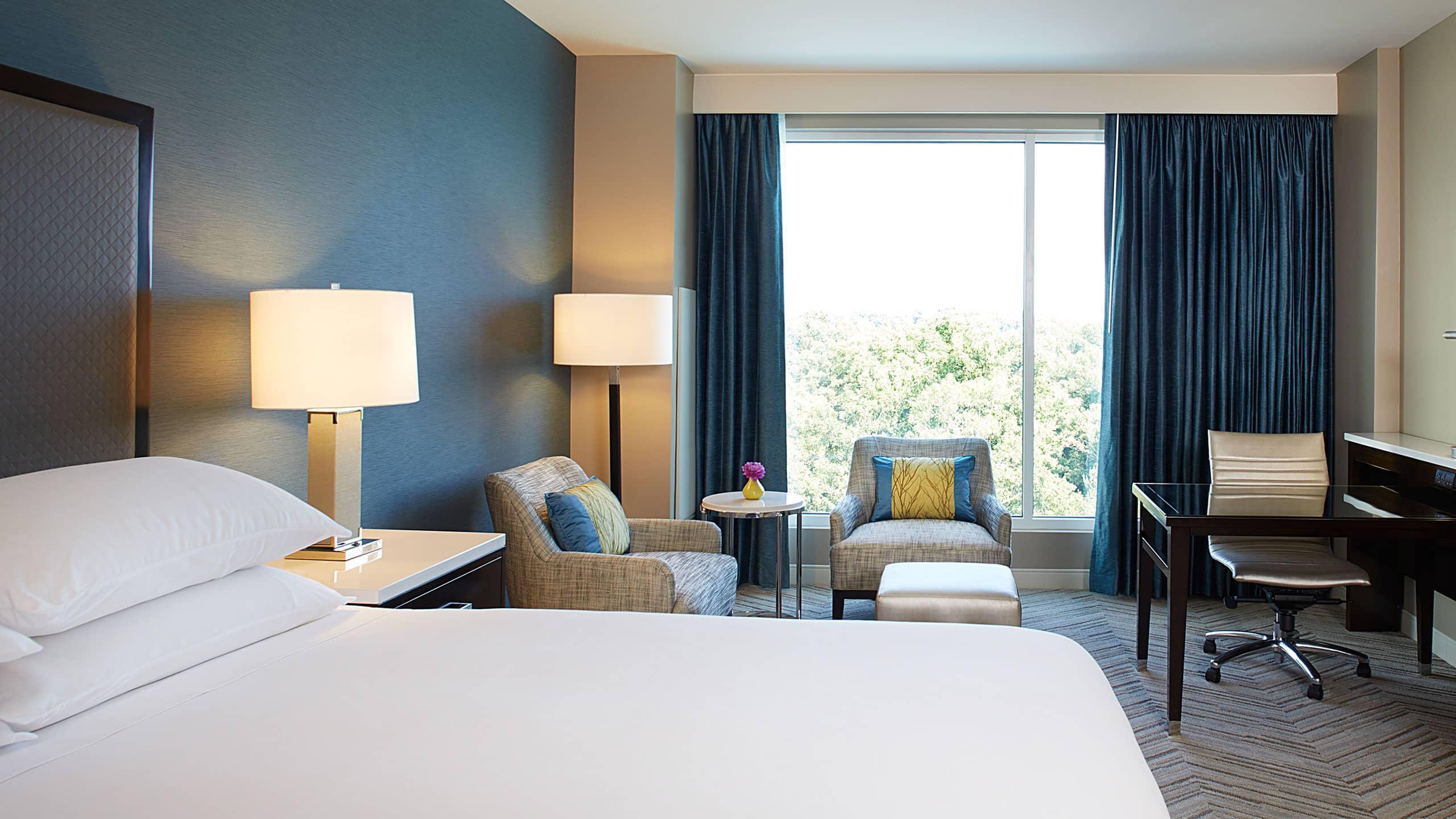 Hyatt Regency Atlanta Perimeter At Christina